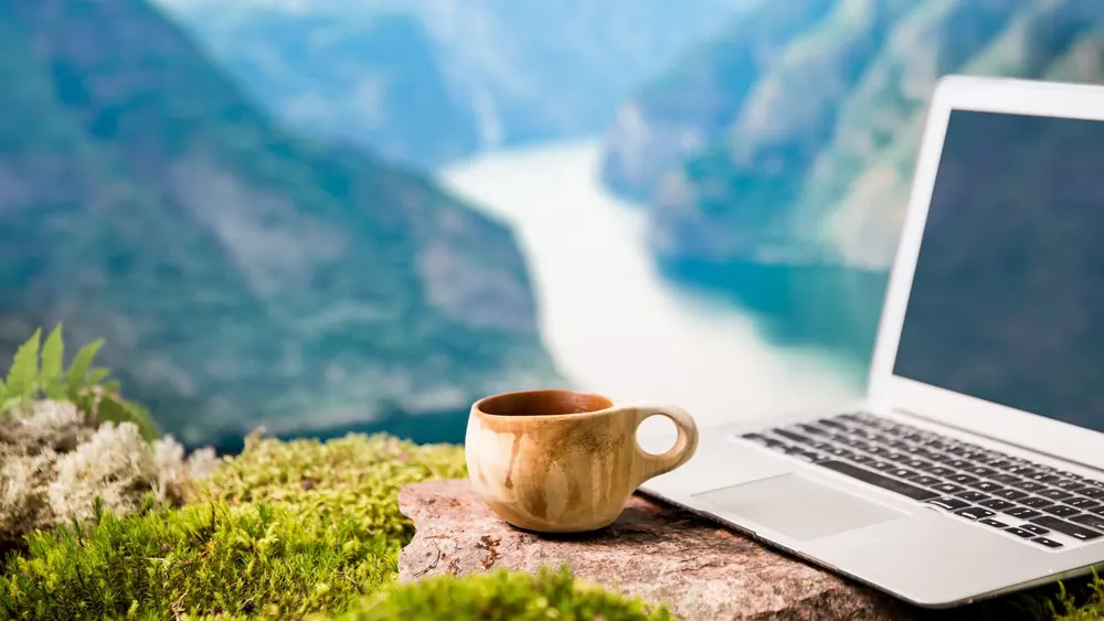 Remote work opportunities